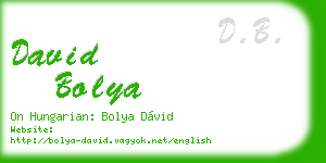 david bolya business card